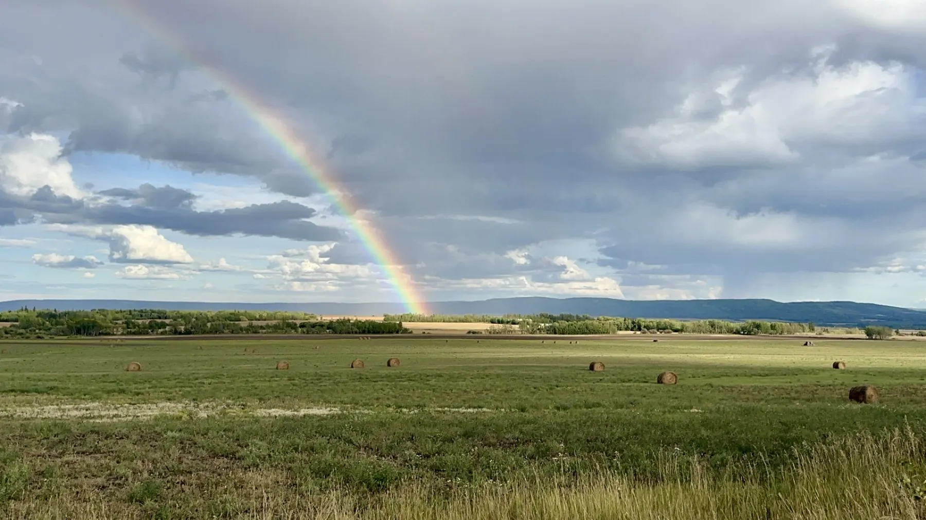 Investing in the Land: Ranches & Farmland Opportunities in the South Peace
