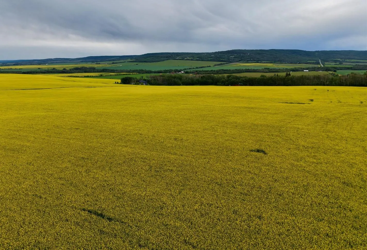 223 Road, Dawson Creek Rural, BC