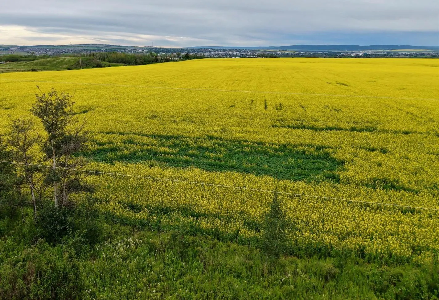 223 Road, Dawson Creek Rural, BC — photo 3