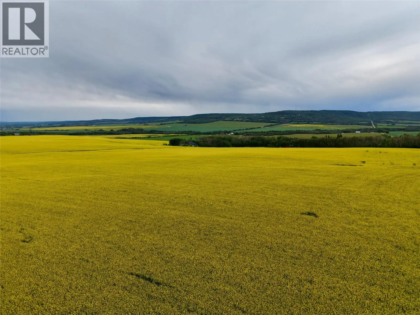 223 Road, Dawson Creek Rural, BC — photo 1