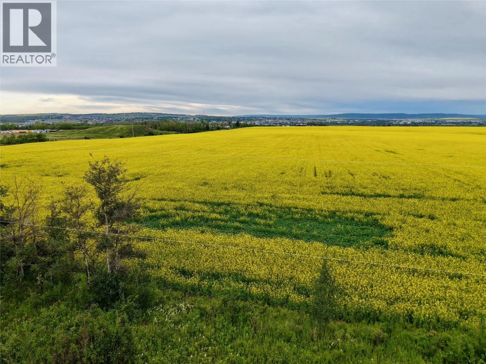 223 Road, Dawson Creek Rural, BC — photo 3