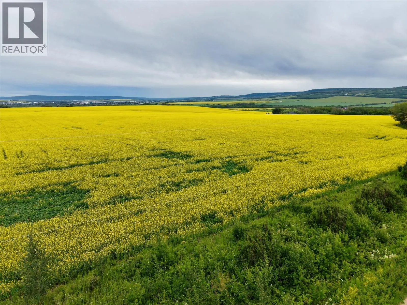 223 Road, Dawson Creek Rural, BC — photo 4