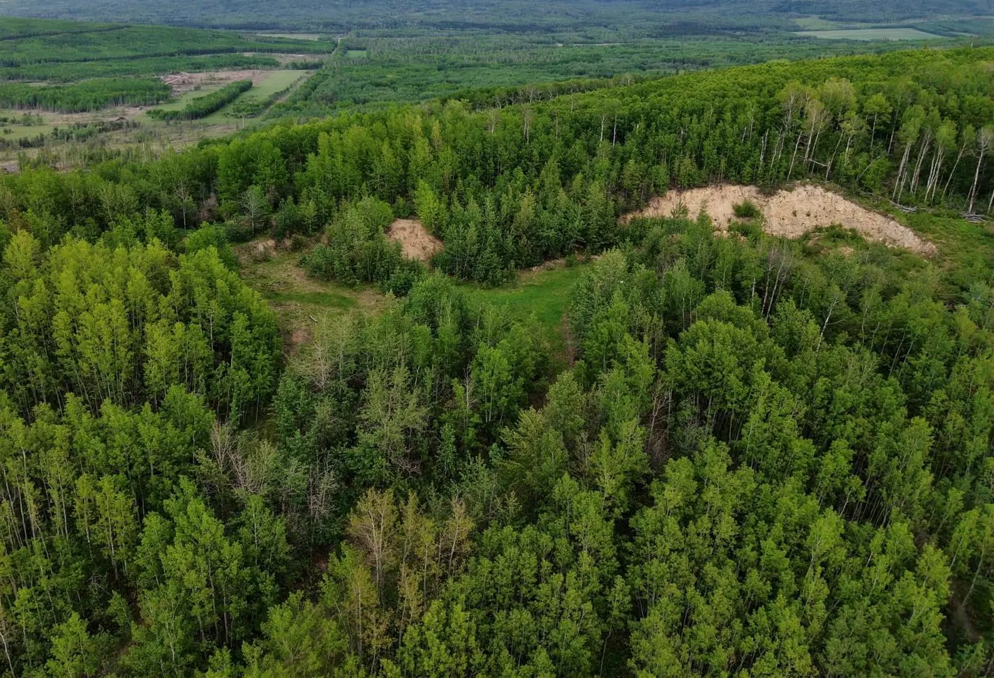 Lot 1 Kendrew Subdivision, Pouce Coupe, BC — photo 2