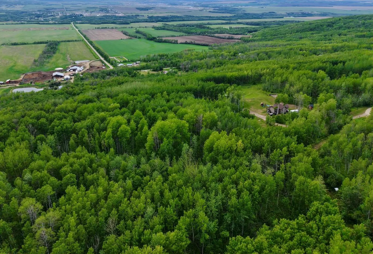 Lot 1 Kendrew Subdivision, Pouce Coupe, BC — photo 4