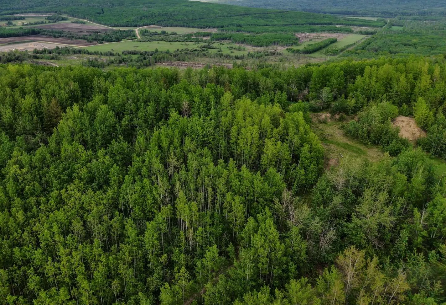 Lot 1 Kendrew Subdivision, Pouce Coupe, BC — photo 7