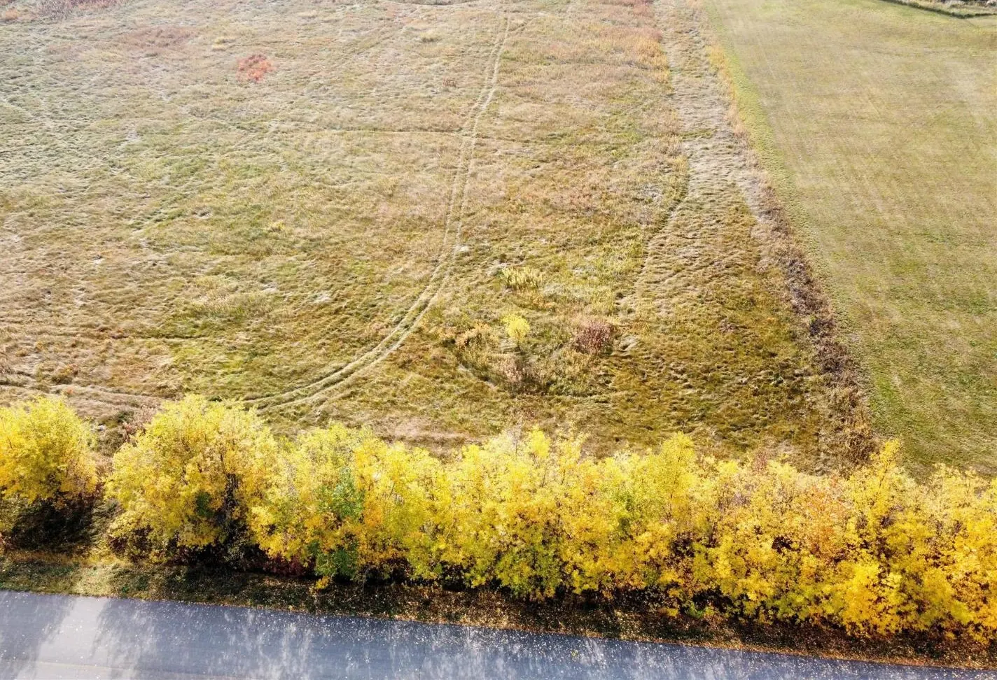 Lot 4 Paradise Valley Subdivision, Dawson Creek Rural, BC — photo 7