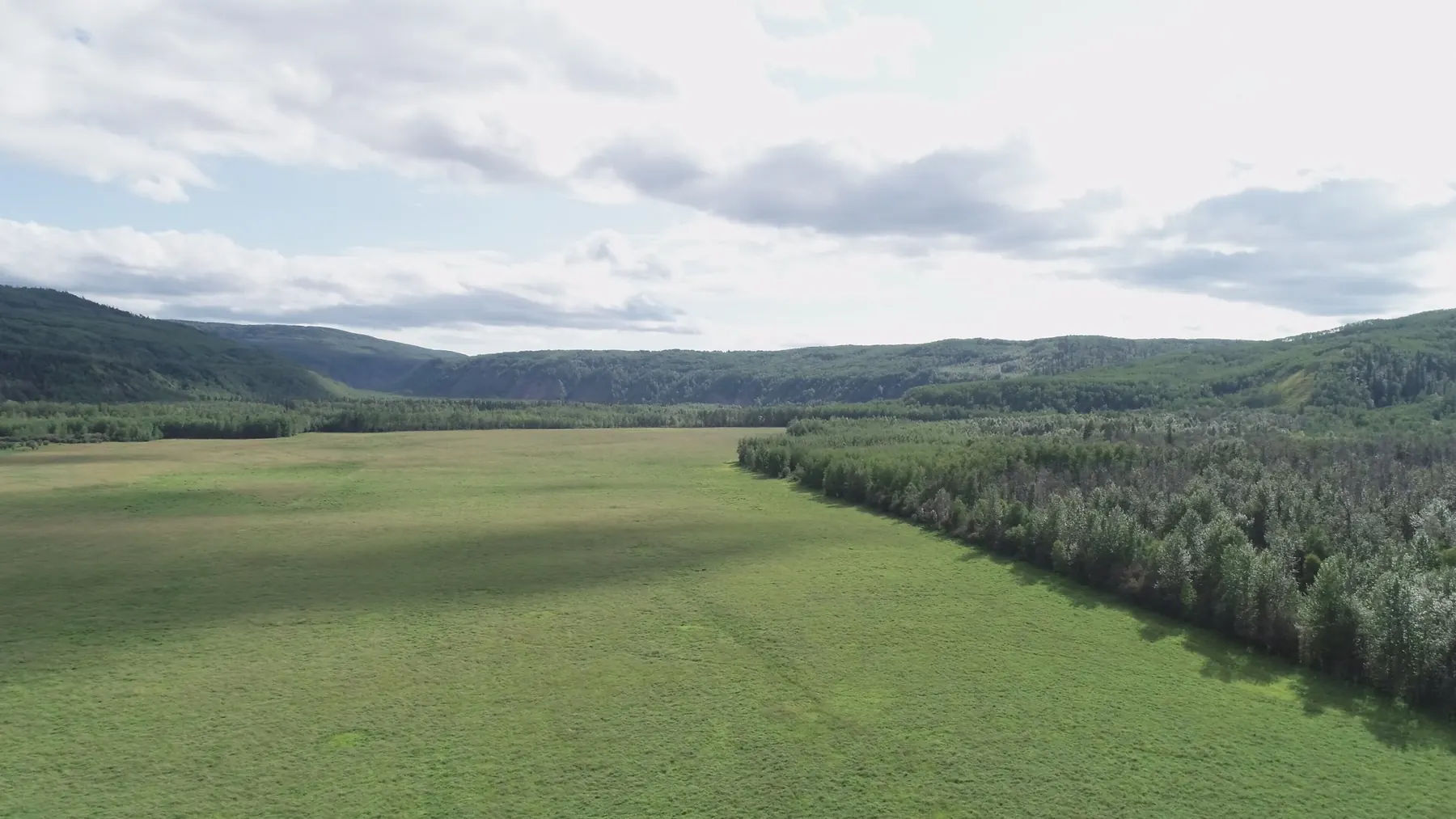 Ranch land in the South Peace